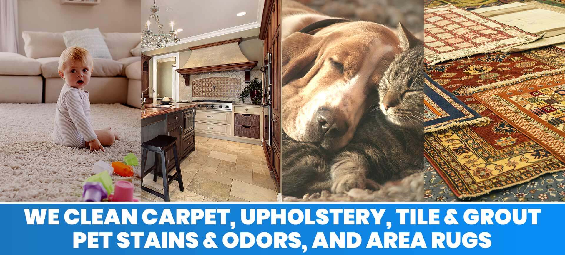 carpet cleaning services in Virginia Beach